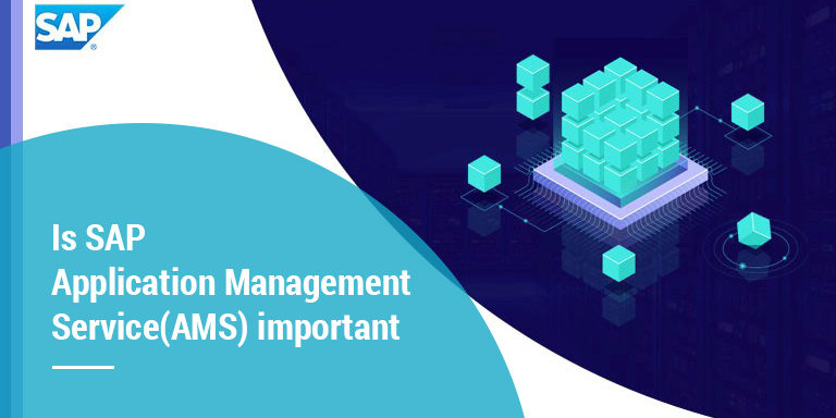SAP_App_Management AMBC SAP Support Services