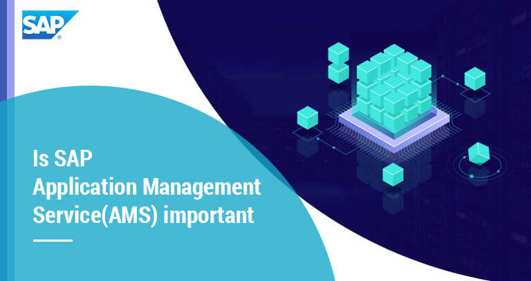 AMBC SAP Support Services