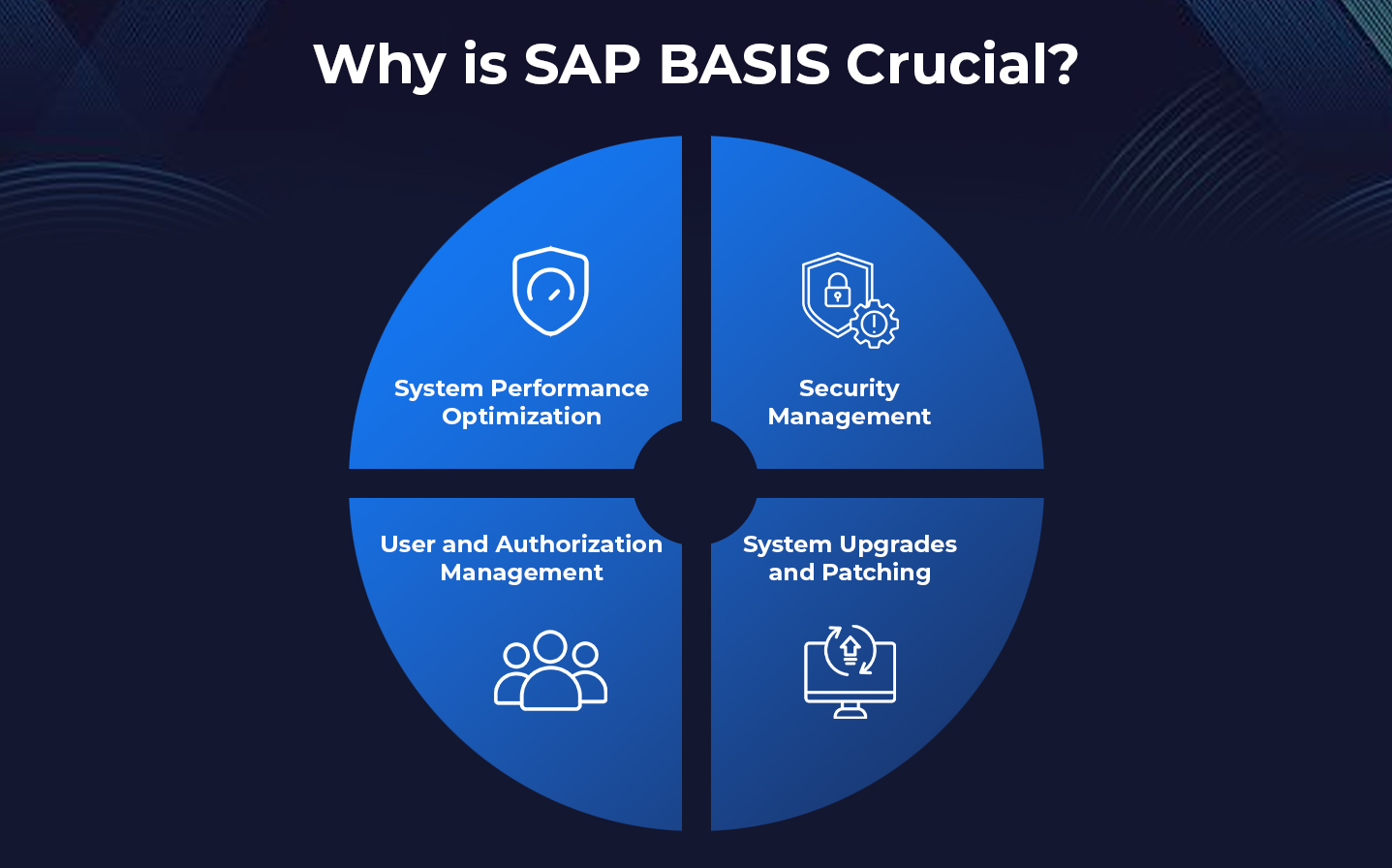 Potential of SAP BASIS